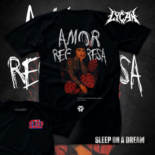 Amor Regresa - Sleep On A Dream
